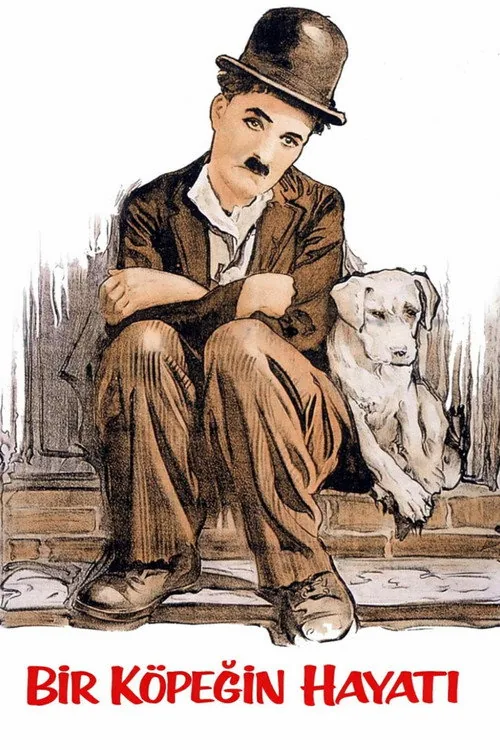 Bir Köpeğin Hayatı film afişi