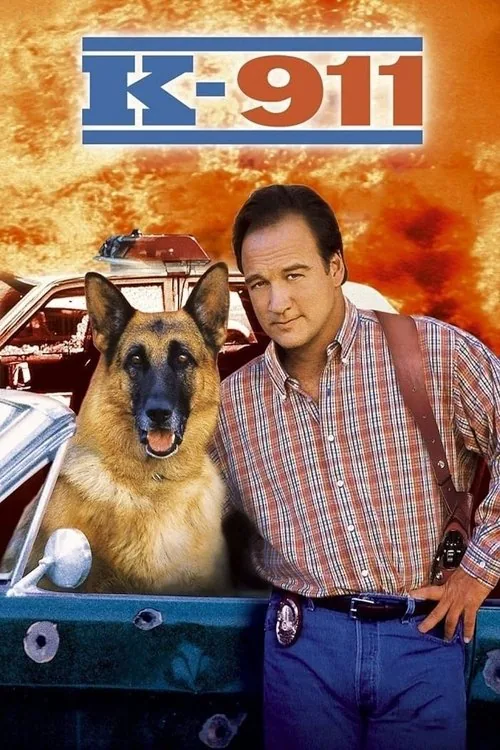 K-911 film afişi